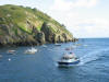 Channel Diver approached Maseline