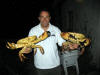 Two 8lb crabs